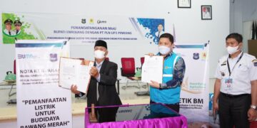 Pemkab Enrekang-PLN Teken MoU Pengembangan Pertanian Modern Ramah Lingkungan