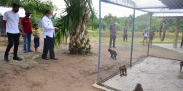 Ada Kebun Binatang di Bulo Watang, Bupati Sidrap: Ini Terobosan Bagus