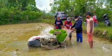 Rice Transplenter Mulai Digunakan, Bupati MB Sebut Setigma Usang Harus Diubah