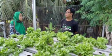 Dosen Umpar Ini Dukung Generasi Milenial Tekuni Pertanian