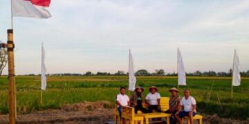Makan di Tepi Sawah, Sekjend DPP Pemuda Tani HKTI Bicara Potensi Pertanian Sidrap