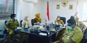 Ikuti Rakornas Percepatan Penurunan Stunting, Gubernur Sulbar Harap OPD Aksi di Lapangan