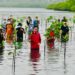 Presiden RI, Jokowi saat menanam mangrove bersama warga Batam