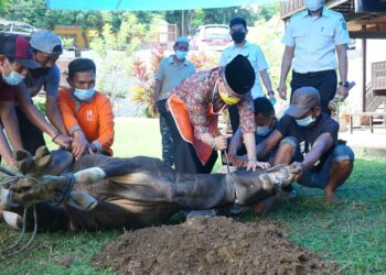 Taufan Pawe Bagikan Daging Kurban Secara ‘Door To Door’