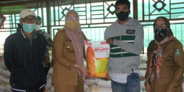 Dinas PKP Parepare Support Bantuan Benih Jagung untuk Petani