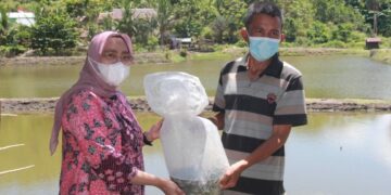 Dinas PKP Parepare Salurkan Bantuan Ribuan Bibit Ikan ke Warga