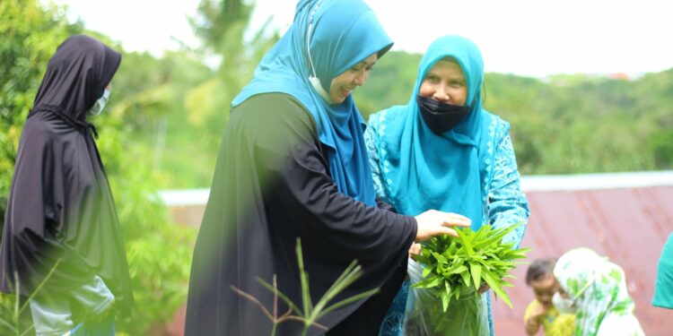 Erna Rasyid Taufan Puji Kader PKK Yang Luangkan Waktu Tanam Sayur dan Buah di Pekarangan Rumah