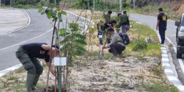 Pemprov Sulsel Tanam 5 Ribu Pohon di Jalan Masuk Bandara Buntu Kunik
