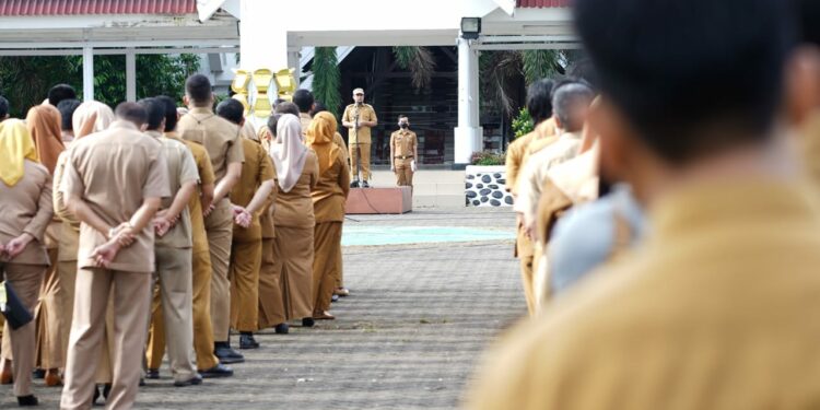 Aparatur Sipil Negara (ASN) Pemprov Sulsel