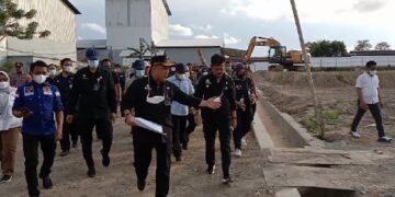 Mentan SYL Rancang Kawasan Integrated Farming di Sidrap
