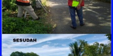 Rusak dan Sempit Hingga Rawan Kecelakaan, Plt Gubernur Bangun dan Perlebar Jembatan S. Palattae Bone