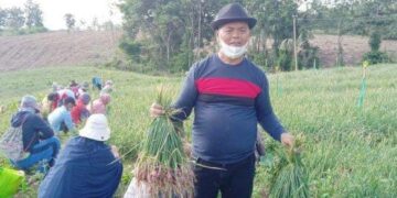 Akhiri Polemik, Bupati Enrekang juga Tegaskan 5 Hal Ini untuk Masalah PTPN XIV