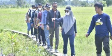 Pemda Lutra Terus Bekerja Pulihkan Lokasi Terdampak Banjir Bandang