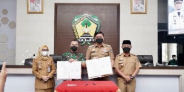 Banyak yang Rapuh, Pemkab Gowa Gandeng Kodim 1409 Remajakan Pohon Pelindung