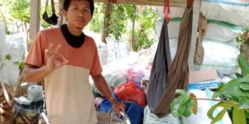 Festival Penyu di Polewali Mandar, Bank Sampah Pinrang Bakal Turut Ambil Bagian