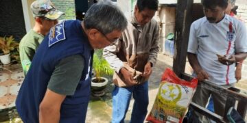 Benih Gratis Tidak Tumbuh, Dinas TPHBun Sulsel Pastikan Bukan Program Mandiri Benih