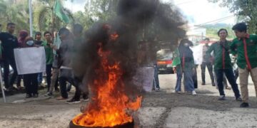 IPMAPUS Sulbar Bakar Ban di Depan Kantor Bupati Mamuju