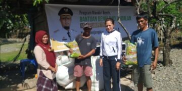 Pemprov Sulsel Salurkan Bantuan Benih Andalan untuk 1000 hektar Lahan di Luwu