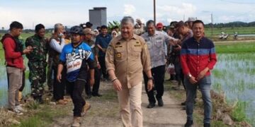 Hadiri Gerdal Hama Tikus Poktan Massosorang 2, Bupati Pinrang Harap Kebersamaan Petani