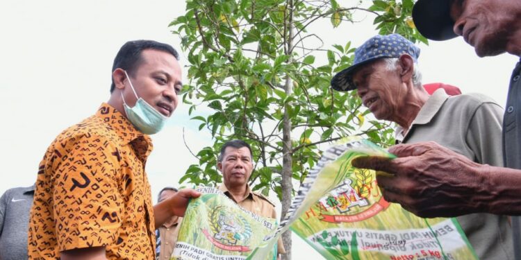Gubernur Sulsel, Andi Sudirman berbincang dengan petani saat memberi bantuan benih padi andalan dalam program Mandiri Benih oleh Pemprov Sulsel.
