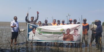 Libatkan Kelompok Masyarakat, DKP Sulsel Tanam 38 Ribu Batang Mangrove di Lutim