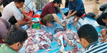 Idul Adha, Yayasan Ashabul Kahfi Bagikan Ratusan Kantong Daging Sapi