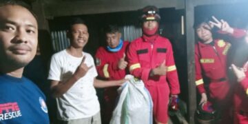 Butuh Satu Jam, Perjuangan Damkar Pinrang Saat Evakuasi Sarang Tawon Vespa