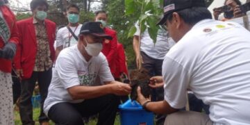 Menko PMK Tanam Pohon di UNHAS