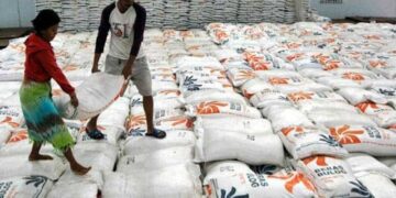 Sulsel Surplus Beras, Peringkat Pertama di Luar Jawa