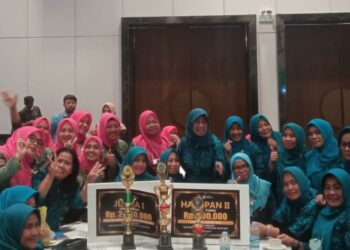 Inovasi Produk Panganan Lokal hingga Pemanfaatan Pekarangan, TP PKK Pinrang Sabet Tiga Penghargaan