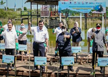 Gubernur Sulsel Bersama Tiga Menteri RI Tanam Mangrove di Maros