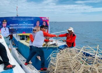 DKP Sulsel Rehabilitasi Ekosistem Laut di Pulau Satanga dan Pulau Tompotana