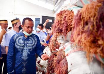 Andi Sudirman Lepas  Ekspor Produk Desa Sejahtera Astra Senilai Rp6,5 Miliar 