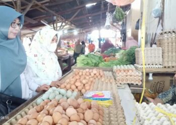 Harga Telur Ayam Ras Tembus Rp31.450 Per Kg,  Pemkot Parepare Aktif Koordinasi dengan Peternak