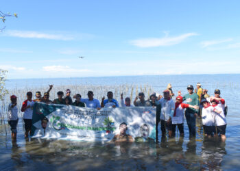 Rawat Ekosistem, CDK Bosowasi Tanam 38 Ribu Batang Mangrove di Pancaitana Bone