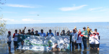 Rawat Ekosistem, CDK Bosowasi Tanam 38 Ribu Batang Mangrove di Pancaitana Bone