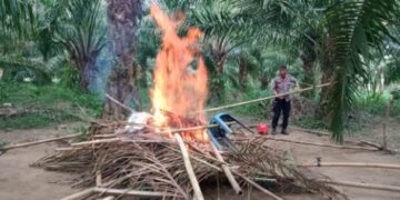 Polsek Lembang Bakar Lokasi Judi Sabung Ayam