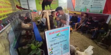 Di Stand Bank Sampah Pinrang, AHP Kenalkan Ragam Jenis Ayam Hias