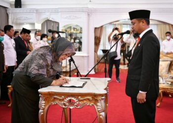 Rosmini Pandin Jabat Kadis Kesehatan Provinsi Sulsel