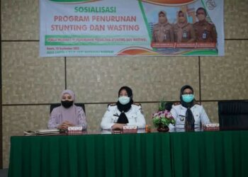 Sosialisasi program penurunan stunting dan wasting di RSUD Andi Makkasau, Kamis (15/9/2022)