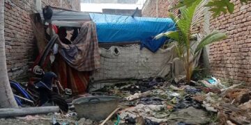 Warga Sidrap Ini 13 Tahun Hidup di Rumah Mirip Kandang, Butuh Uluran Tangan
