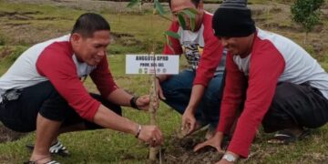 DLHD Sidrap Tanam Ratusan Pohon di Betao Riase, Ada Durian hingga Gaharu