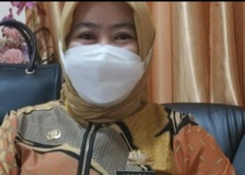 9 September, BKPSDMD Parepare Perpanjang Pendataan Tenaga Non ASN