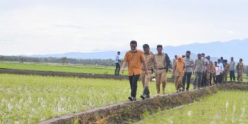 Sulsel Pasok Kebutuhan Beras 120 Ribu Ton, Terbesar di Indonesia