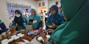 Erna Rasyid Taufan Apresiasi Perkembangan Administrasi dan Hasil Produk Kader PKK
