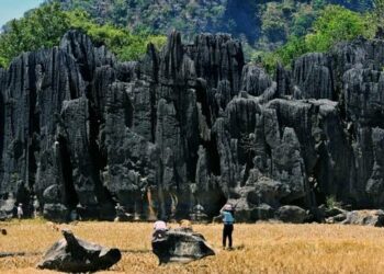 Geopark Maros Pangkep telah ditetapkan masuk sebagai Geopark dunia dalam forum rapat council (dewan) United Nations Educational Scientific and Cultural Organization (Unesco) Global Geopark Persatuan yang dilaksanakan di Thailand pada Ahad (4/9/2022).