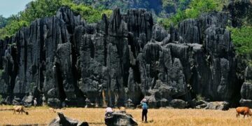 Unesco Tetapkan Geopark Maros Pangkep sebagai Geopark Dunia