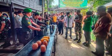 Pangdam XIV Hasanuddin Belajar Membuat Pupuk pada Prof Anas Tika di Pinrang