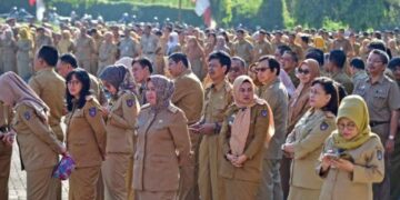 November, Pemprov Sulsel Bakal Umumkan Rekruitmen PPPK 2022