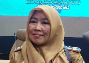 Masih Butuh Verifikasi Ulang, BKPSDMD Parepare Rilis 200 Tenaga Non ASN Dihapus